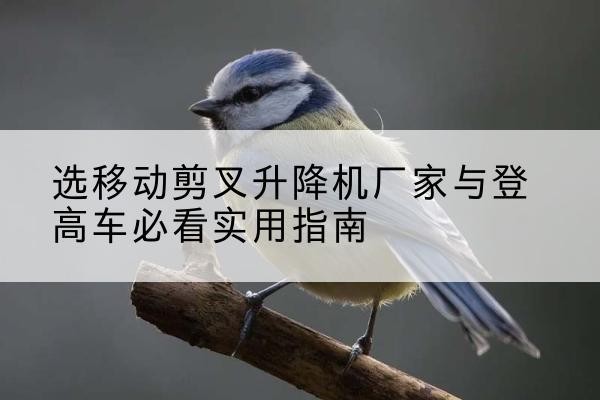 尚义电动升降机厂家-选移动剪叉升降机厂家与登高车必看实用指南