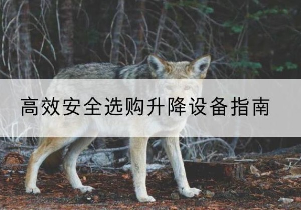 尚义升降货梯厂家推荐-*安全选购升降设备指南